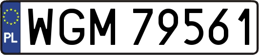 WGM79561