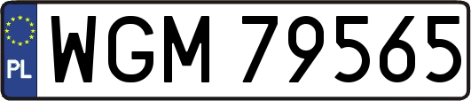 WGM79565