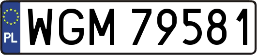 WGM79581