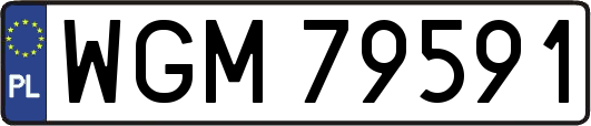 WGM79591