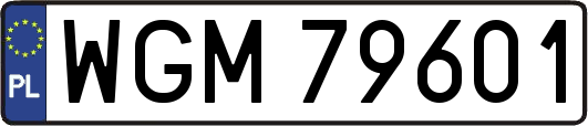 WGM79601