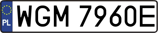 WGM7960E