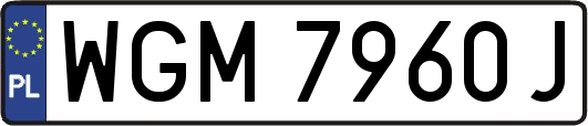 WGM7960J
