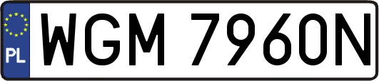 WGM7960N