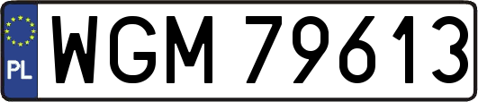 WGM79613