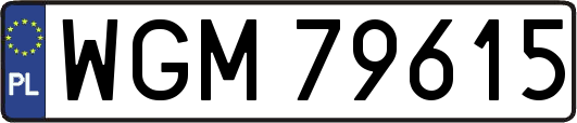 WGM79615