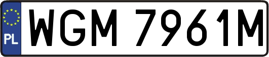 WGM7961M