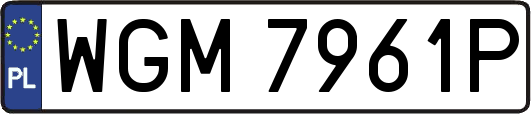 WGM7961P