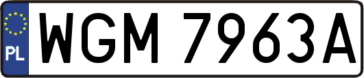WGM7963A