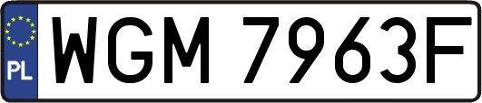 WGM7963F
