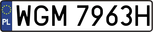 WGM7963H