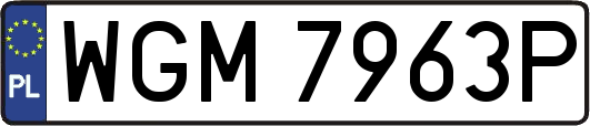 WGM7963P