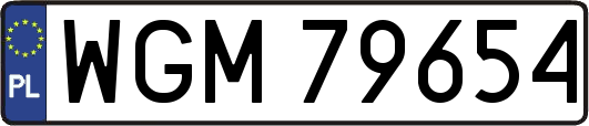 WGM79654