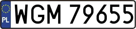WGM79655
