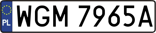 WGM7965A