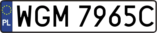 WGM7965C