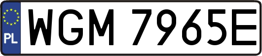 WGM7965E