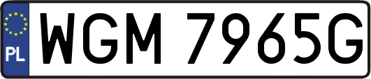 WGM7965G