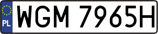 WGM7965H