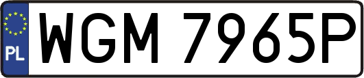 WGM7965P
