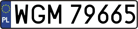 WGM79665