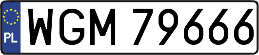 WGM79666