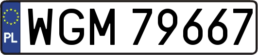 WGM79667