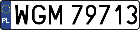 WGM79713