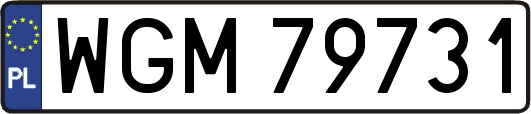 WGM79731