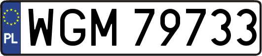 WGM79733