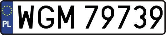 WGM79739