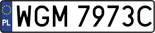 WGM7973C