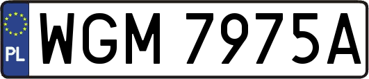 WGM7975A