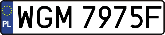 WGM7975F