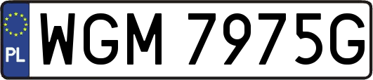 WGM7975G