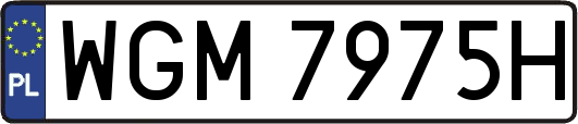 WGM7975H