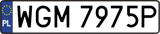 WGM7975P