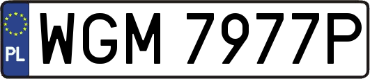 WGM7977P