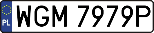 WGM7979P