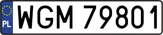 WGM79801