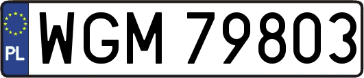 WGM79803