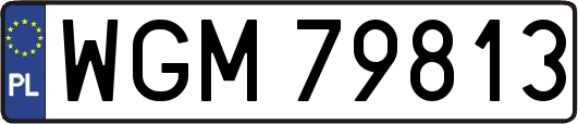 WGM79813