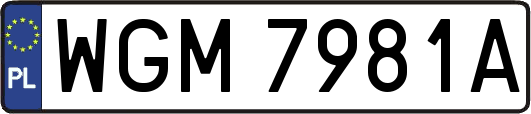 WGM7981A