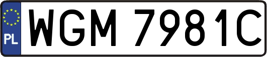 WGM7981C