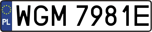 WGM7981E