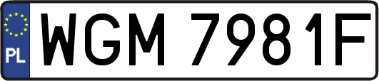 WGM7981F