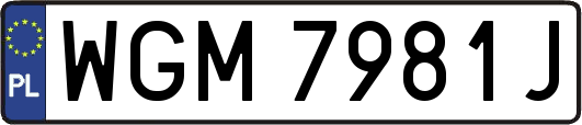 WGM7981J