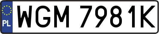 WGM7981K