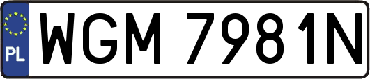 WGM7981N