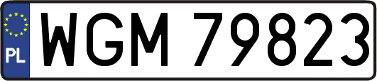 WGM79823